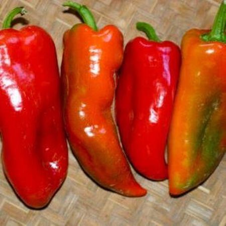 Tolli's Sweet Italian, Pepper Seeds - Packet image number null